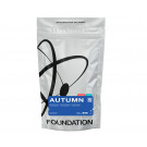Кофе Foundation Autumn в зернах 250 г