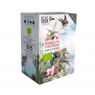 Черный чай Life by Follis Шампанское-Клубника органический в пакетиках 20х1,8 г