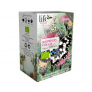 Черный чай Life by Follis Малина-Сливки органический в пакетиках 20х2 г