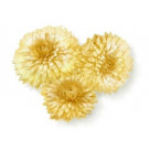 Цветочный чай Королевская хризантема Бриллиантовый дракон пак. из фольги 200 г - фото-1